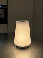 LAUNCH SPECIAL - one lamp - both shades