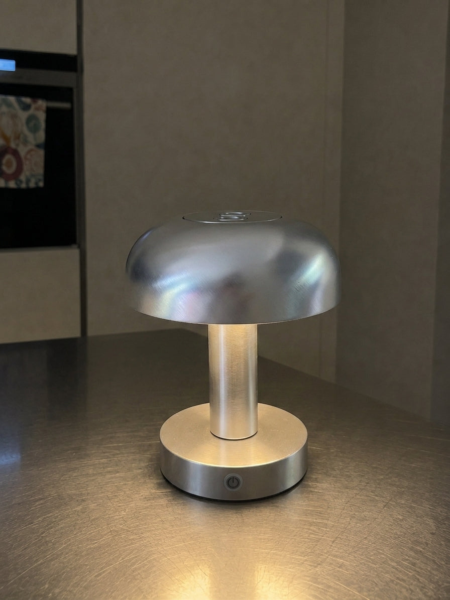 LAUNCH SPECIAL - one lamp - both shades