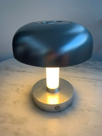 LAUNCH SPECIAL - one lamp - both shades