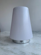 LAUNCH SPECIAL - one lamp - both shades