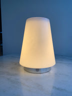 LAUNCH SPECIAL - one lamp - both shades